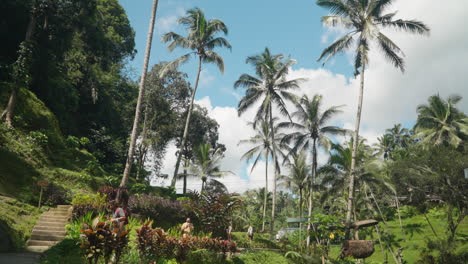 Turistas-Que-Visitan-La-Fragante-Naturaleza-De-Bali-Cerca-De-Ubud,-Bali-Indonesia