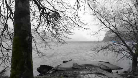 Grey-landscape,-dead-tree-near-lake,-Swiss-nature-in-the-autumn,-winter