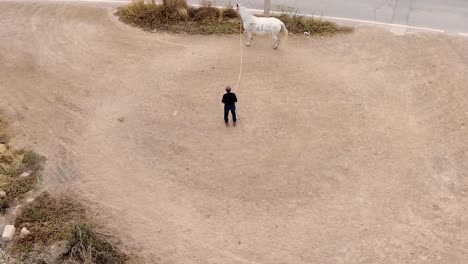 Caballo-Blanco-Domesticado-Por-Un-Vaquero-Mayor-Conduciéndolo-En-Círculos.