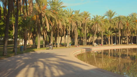 Panning-shot-of-palm-trees-alongside-river-water-in-Turia-gardens-in-Valencia,-Spain-on-a-sunny-day
