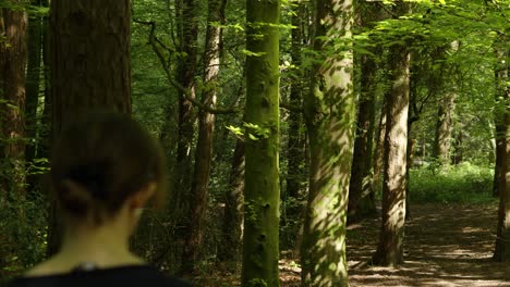 Mujer-Tranquila-Con-Gafas-De-Sol-Caminando-Por-Un-Denso-Bosque-Natural-Con-Sendero