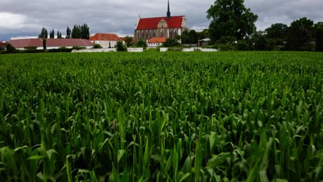 Corn-Fields-Towards-The-Palace-of-Marianna-Orańska-Zamkowa-In-Kamieniec-Ząbkowicki,-Poland