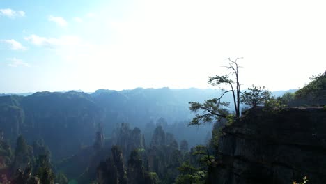 Aerial-ascent-over-Tianzi-Mountain-in-a-sunny-day-with-karst-pillars-of-Zhangjiajie-in-background,-China