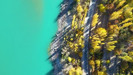 Vista-Aérea-De-Un-Bosque-En-Otoño,-Mostrando-Los-Tonos-Dorados-De-Los-árboles.