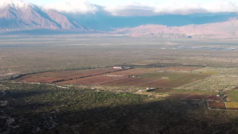 Wunderschönes-Panoramabild-Der-Cachalquíes-Täler-In-Cafayate,-Salta,-Argentinien,-Mit-Weinbergen-Der-Sorten-Malbec-Und-Torrontés