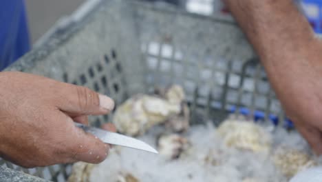 Close-up-shot-of-a-man-using-a-knife-to-pry-open-fresh-oysters-for-cooking