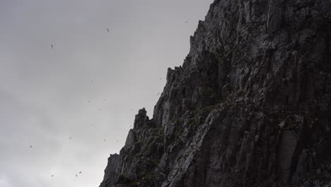 Anidando-Aves-Marinas-Volando-Y-Anidando-En-Acantilados-Escarpados-Y-Afilados-En-Islandia-Durante-El-Verano