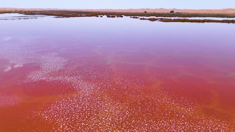 Flyover-shot-of-the-colorful-pink-waters-of-the-Wulan-Lake-in-the-Tengger-Desert,-Inner-Mongolia-Autonomous-Region,-China