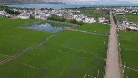 The-drone-footage-pans-over-a-small-road-strip-surrounded-by-the-vast-and-expansive-crop-fields-in-Dali,-Yunnan,-China