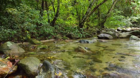 Klarer-Süßwasser-Bach-Fluss-Im-Wald-Von-Kolumbien,-Luftbild-Drohne-POV