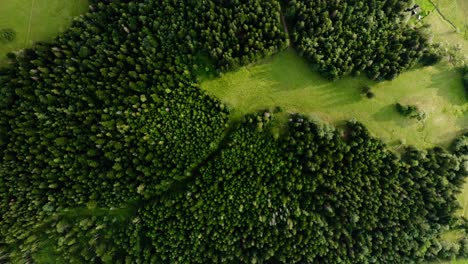 Above-View-Of-Lush-Woodland-Near-Strazyska-Valley-In-Zakopane,-Małopolskie-Poland