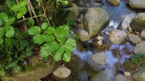 Aerial-large-boulders-and-rocks,-river-of-freshwater-rainforest,-Santa-Marta,-Colombia