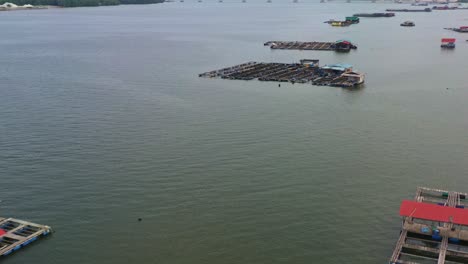 Aerial-views,-drone-flyover-thriving-aquaculture-fish-farms,-with-traditional-cages-and-nets-teeming-with-marine-life,-connected-by-wooden-walkways-floating-on-the-calm-waters