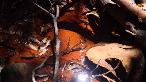 Gotas-De-Agua-De-Luz-Solar-En-Cámara-Lenta-De-Corriente-Roja