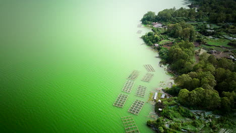 Green-water-of-Lake-Batur-from-volcanic-sediment,-tilapia-fish-farm