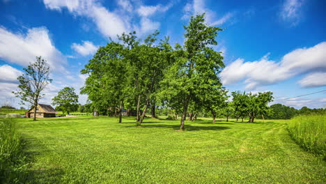 Gardener-Lawn-mowing-time-lapse-Mowing-Grass-With-Trimmer,-maintenance