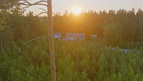 Self-sustaining-home-in-middle-of-rural-woodlands,-summer-sunrise---Aerial-view