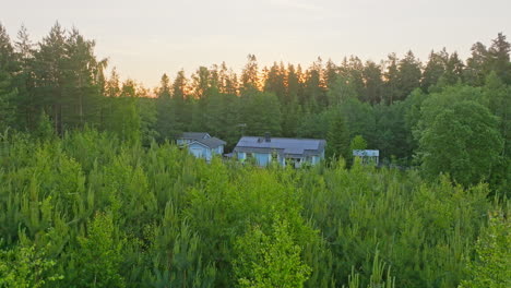 Off-grid-house-in-middle-of-countryside-and-forest,-summer-morning---Aerial-view