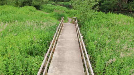 Profile-view-of-a-pathway-between-the-bushes-in-Priory-Park-in-Huntingdonshire,-England