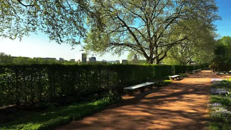 Un-Dron-Que-Vuela-Bajo-A-Través-Del-Jardín-Se-Eleva-Para-Revelar-El-Hermoso-Paisaje-Urbano-De-Dresde