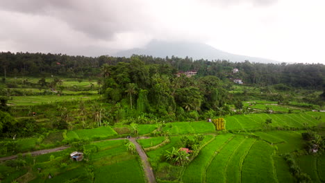 Sidemen-Bali,-Malerische-Region,-üppige-Reisterrassen,-Landschaft,-Luft