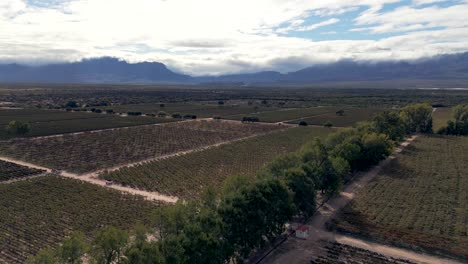 Drone-moving-laterally,-showcasing-vineyards-in-the-Cachalquíes-Valleys,-famous-for-their-high-altitude-wines