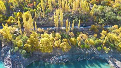 Vista-Aérea-De-Un-Bosque-En-Otoño,-Mostrando-Los-Tonos-Dorados-De-Los-árboles.