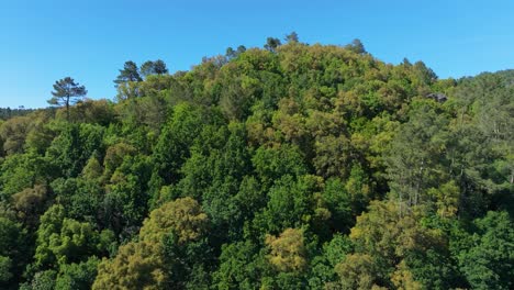 Herbstwaldberge-Im-Naturpark-Rio-Avia-In-Ribadavia,-Provinz-Ourense,-Galicien,-Spanien