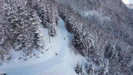 Atemberaubende-Luftaufnahmen-Von-Skifahrern,-Die-Auf-Einer-Kurvenreichen,-Schneebedeckten-Piste-Durch-Einen-Dichten,-Verschneiten-Wald-In-Der-Schweizer-Alpenregion-Navigieren