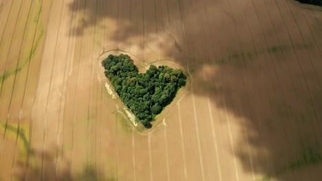 Zagajnik-Milosci---Grupo-De-árboles-En-Forma-De-Corazón-Rodeado-De-Campos-Agrícolas-En-La-Baja-Silesia,-Polonia