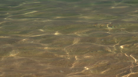 Close-up-of-sunshine-over-clear-pristine-water-sea-ocean