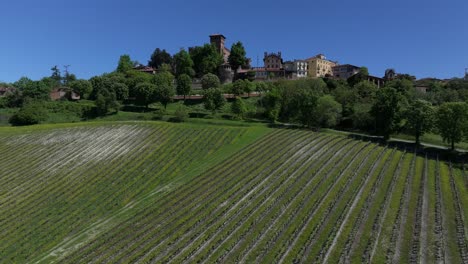 Junge-Gepflegte-Gemeinde-Weinfelder-Von-Gabiano,-Italien