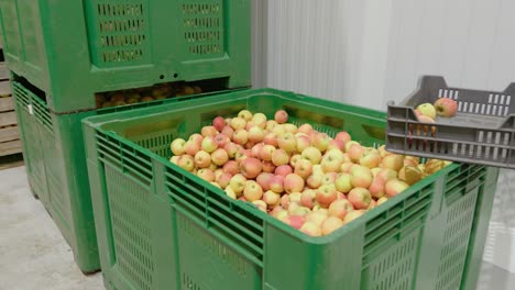 Large-box-of-apples-in-storage-facility,-industrial-storage