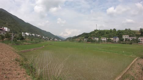 Changes-in-cloud-cover-over-rice-paddies