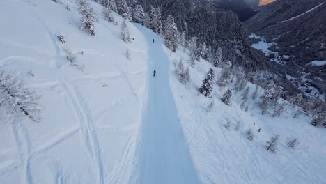 Drone-tracking-shot-of-two-skiers-in-the-Swiss-mountains-surrounded-by-tall-pine-trees