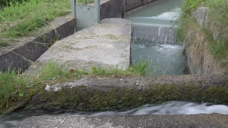 The-part-of-a-irrigation-channel-in-which-water-is-diverted-into-different-sections
