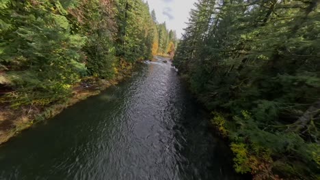 A-sharp-dive-to-glide-low-over-a-river-and-waterfall-in-Washington-State-in-the-fall