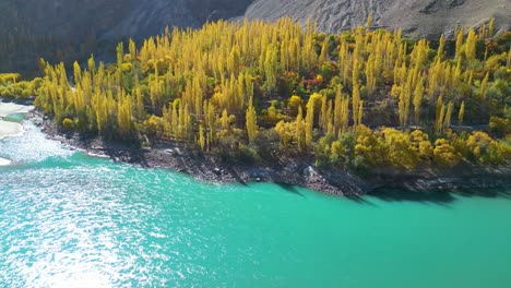 Luftaufnahme-Einer-üppig-Grünen-Insel-In-Einem-Blauen-Fluss,-Gilgit-Baltistan,-Pakistan