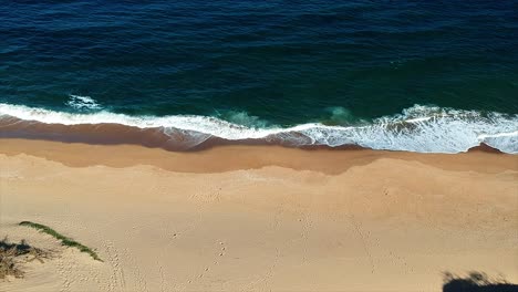 Drone-Volando-Sobre-Algunos-Arbustos-Con-Vistas-A-La-Arena-Del-Mar-Y-Panorámica-Hacia-El-Océano-Con-Olas-Rompiendo-En-Una-Playa