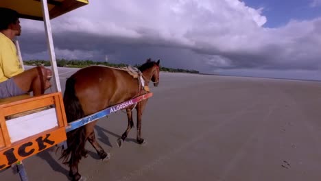 AMAZON,-BRAZIL:-Horse-Drawn-Carriage-Rides-on-the-Island-of-Algodoal