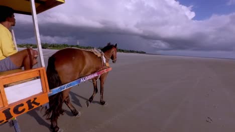 Amazonas,-Brasil:-Paseos-En-Carruajes-Tirados-Por-Caballos-En-La-Isla-De-Algodoal