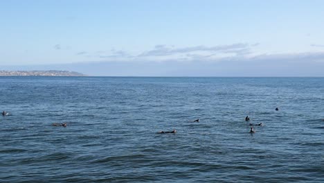 Gente-Flotando-Con-Tablas-De-Surf-Cerca-De-Bird-Rock-En-La-Jolla-En-San-Diego,-California,-EE.UU.