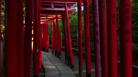 Impresionante-Paseo-En-Cámara-Súper-Lenta-A-Través-De-Las-Tradicionales-Puertas-Torii-Rojas-En-Japón