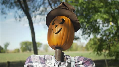 Espantapájaros-De-Calabaza-En-El-Huerto-De-Calabazas-De-Halloween