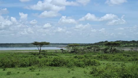 African-Landscape-Scenery-in-Africa,-Lush-Green-Greenery-and-Blue-Sky-and-Clouds-at-Ndutu-Lake-National-Park-in-Ngorongoro-Conservation-Area-in-Tanzania-on-Safari