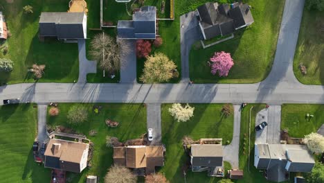 Quiet-neighborhood-with-green-lawn-and-colorful-trees-at-sunset