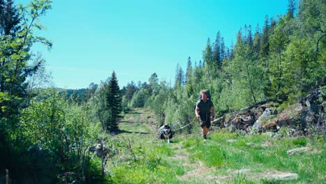 Backpacker-With-Adorable-Alaskan-Malamute-Walking-On-Trail-Through-Greenery-In-Norway