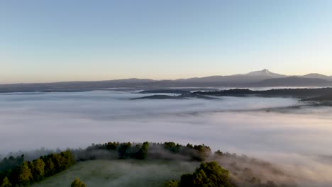 Un-Paisaje-Completo-A-Primera-Hora-De-La-Mañana-Bajo-Un-Manto-De-Rocío