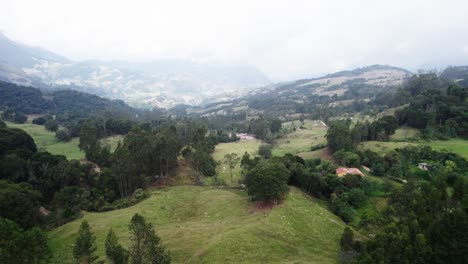 Forward-aerial-shot-of-capturing-forest-on-hills-during-daytime