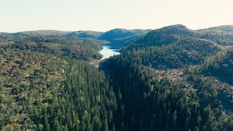 Seterdjupna,-Holtålen,-Trondelag,-Noruega---Una-Escena-Encantadora-De-Montañas-Cubiertas-De-Bosques-Que-Rodean-Un-Lago---Drone-Volando-Hacia-Adelante